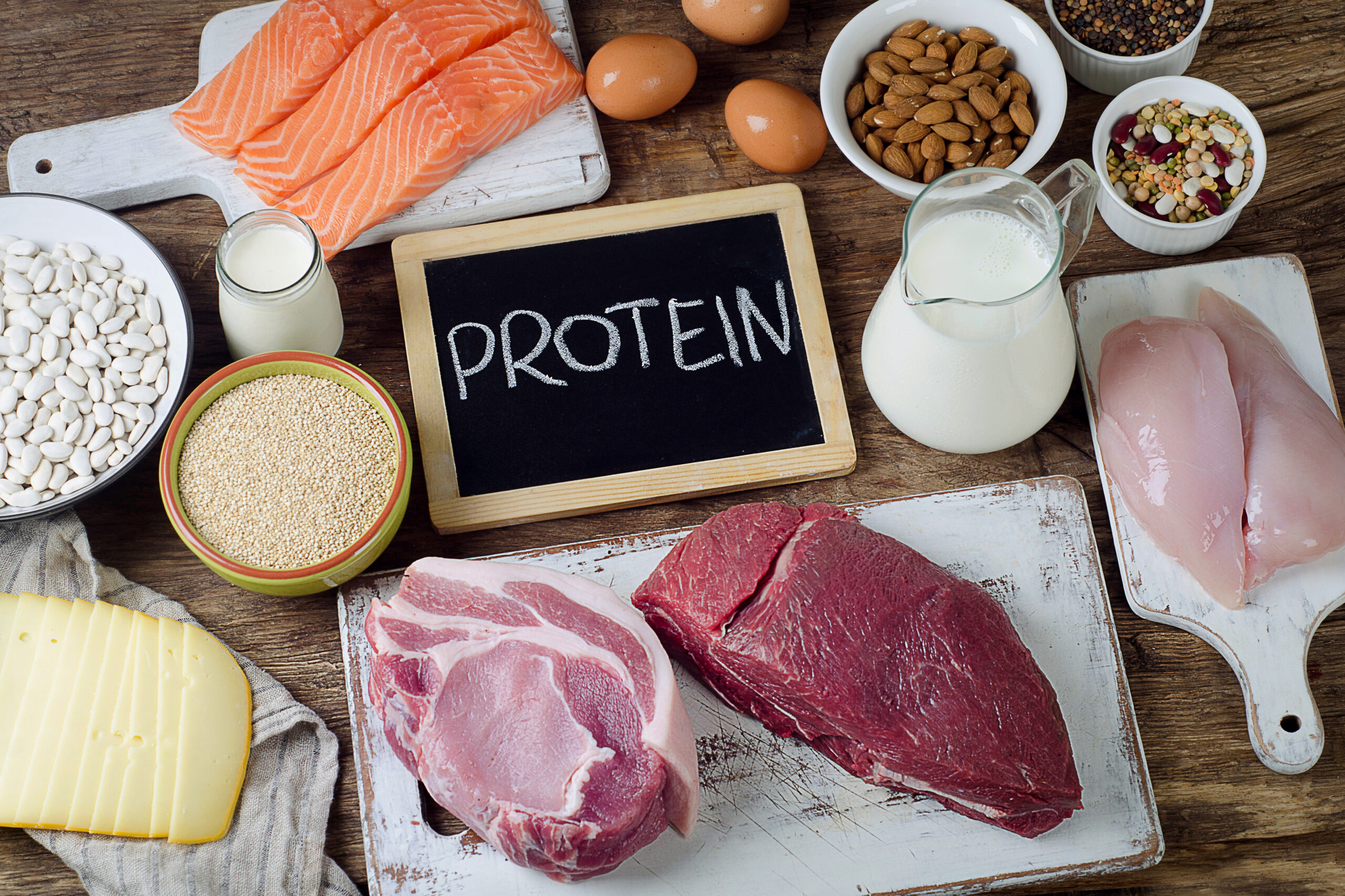 Shocking Protein Truth—Not Just for Muscles